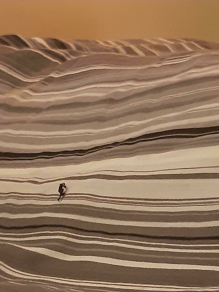 Esta pelusa sobre mi manta parece un hombre corriendo colina arriba