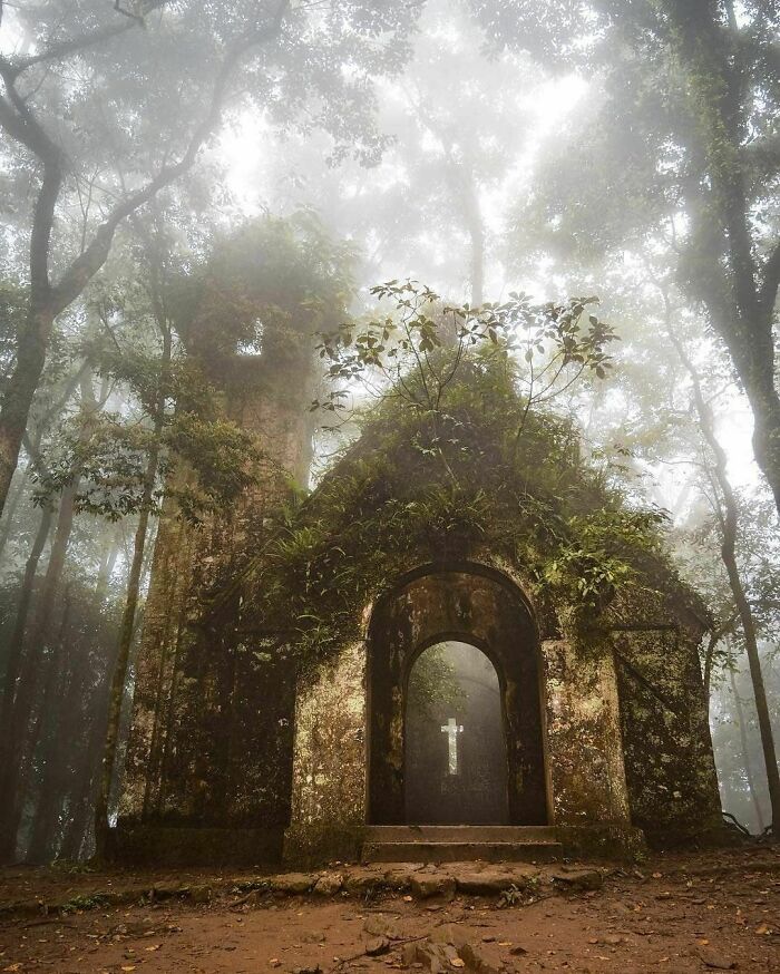 Iglesia abandonada en el bosque