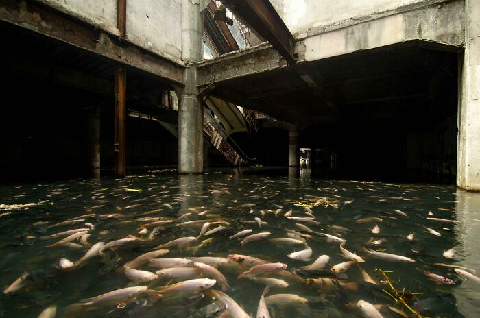 Centro comercial abandonado en Bangkok