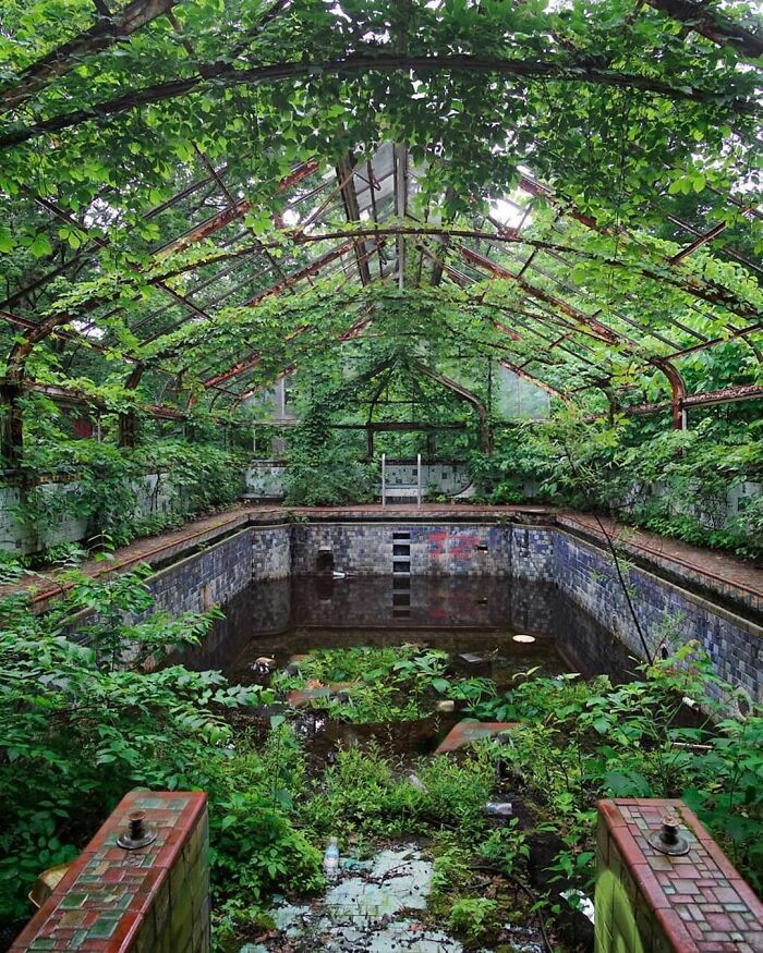 Naturaleza invadiendo esta piscina en una mansión abandonada