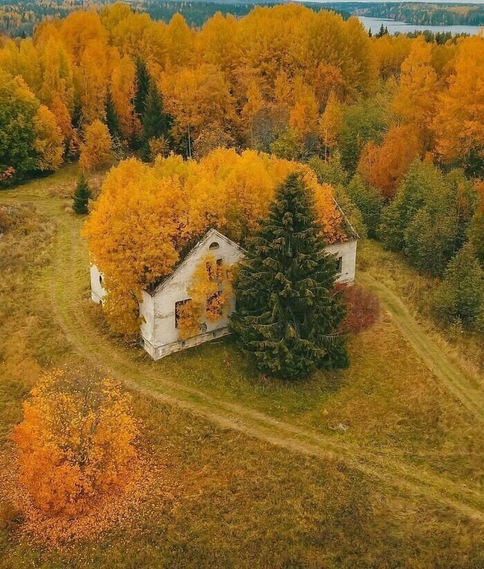 Casa abandonada en Karelia, Rusia