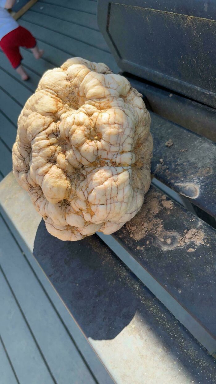 He encontrado esta piedra rara en el patio