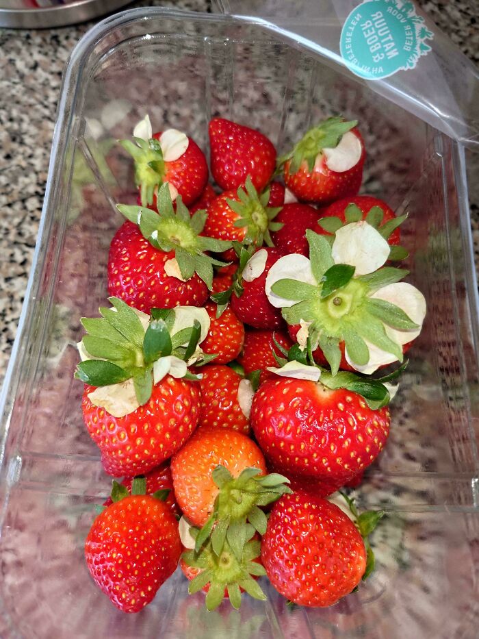 Casi todas las fresas que he comprado aún tenían las flores