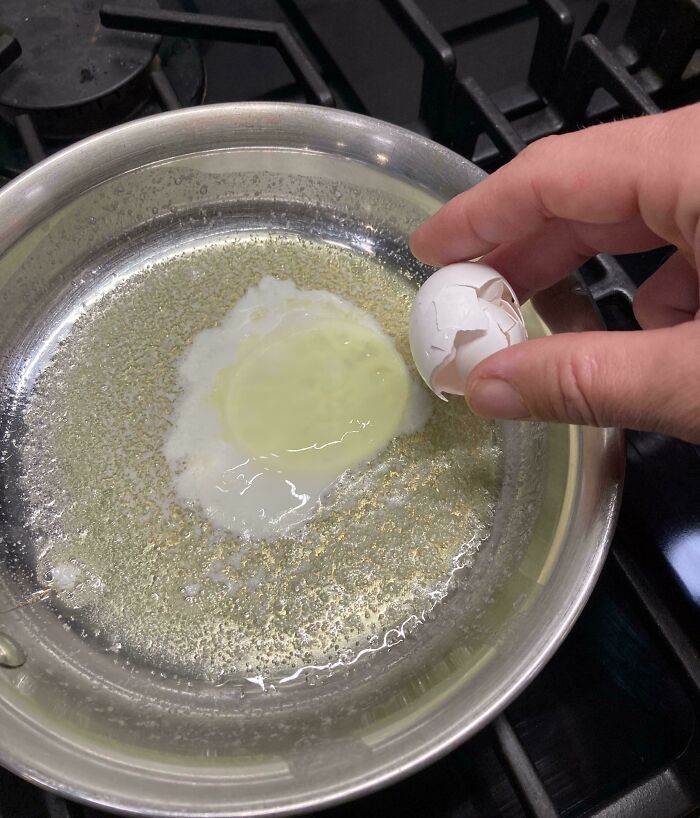 Una de nuestras nuevas gallinas puso ayer su primer huevo y no tenía yema
