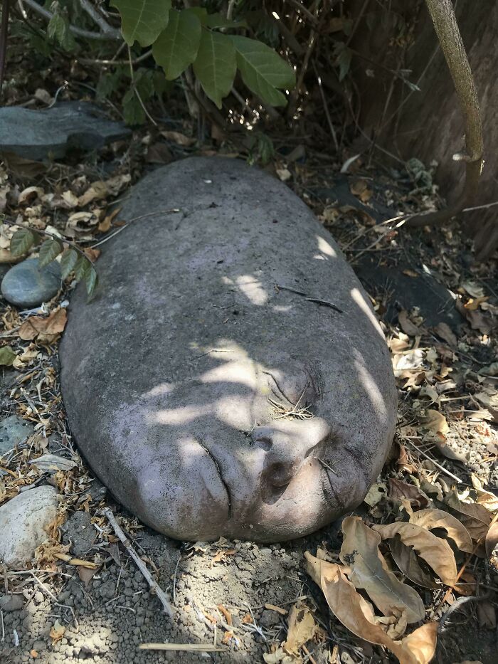 Tuve que mirar esta piedra dos veces, la dejó el anterior dueño de la casa en su jardín