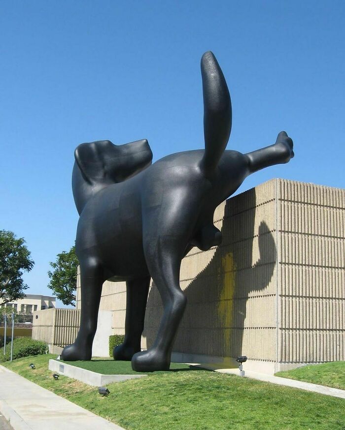 Museo de arte de Orange County