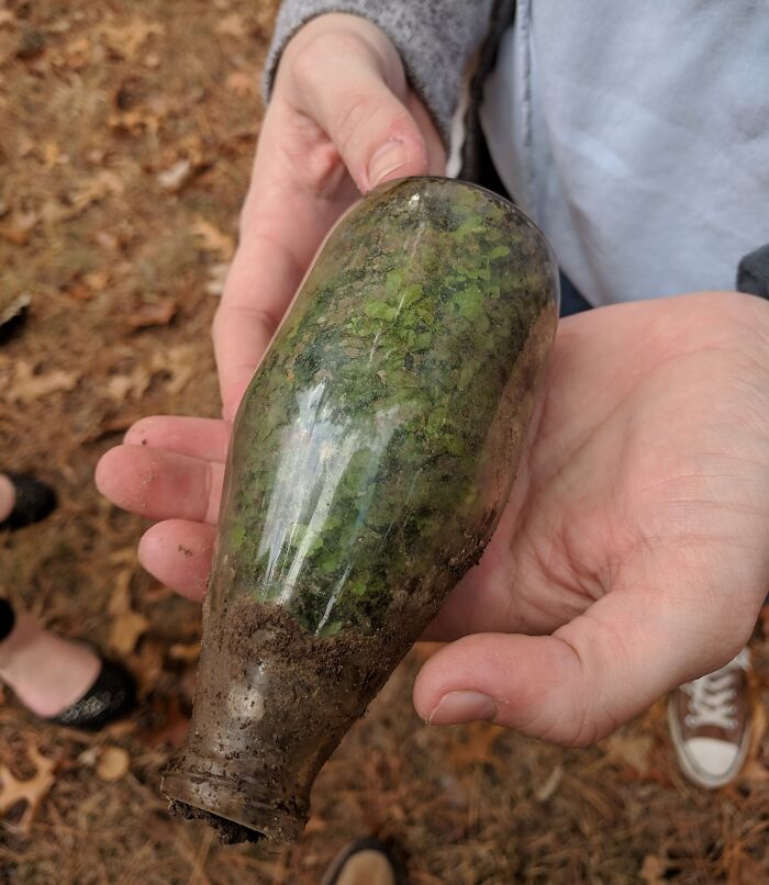 Botella tirada en el bosque con un terrario creciendo dentro