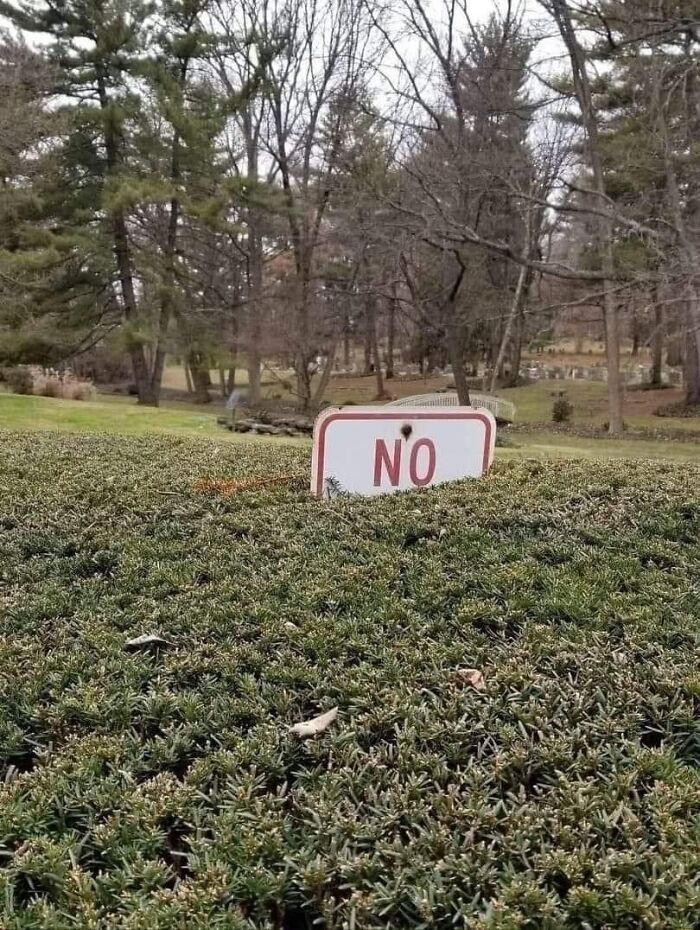 50 Times People Or Businesses Won The Funny Sign Game And Got Celebrated On Facebook