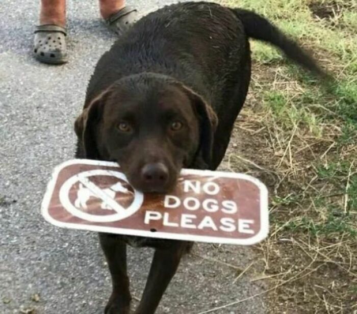 50 Times People Or Businesses Won The Funny Sign Game And Got Celebrated On Facebook