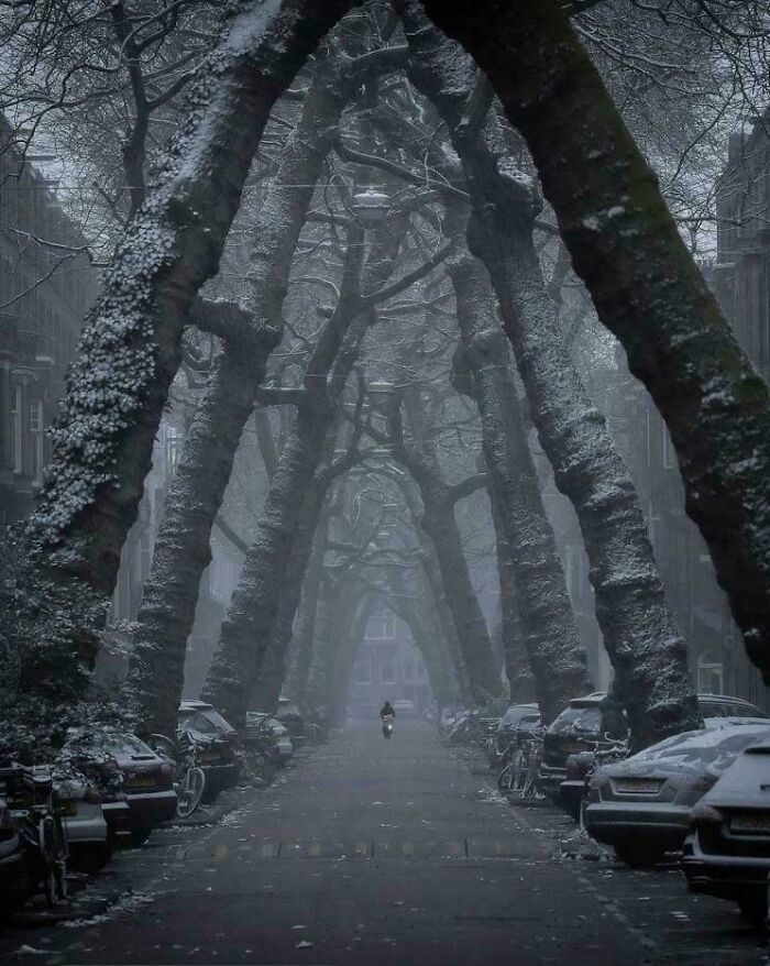 Una calle en Amsterdam, Holanda