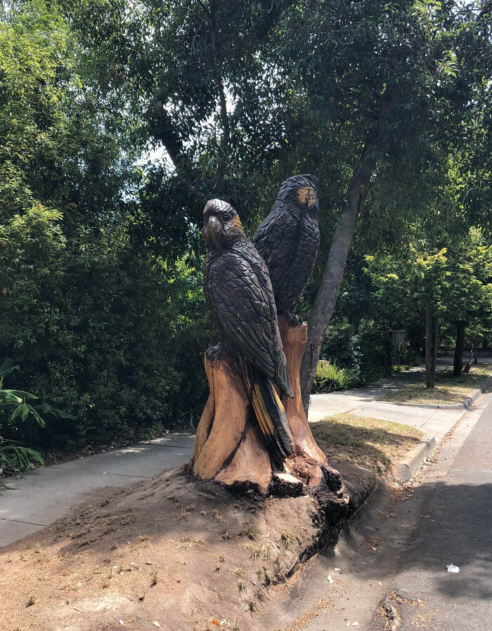 Se cayó un árbol de mi calle, y mi vecino creó esta obra maestra