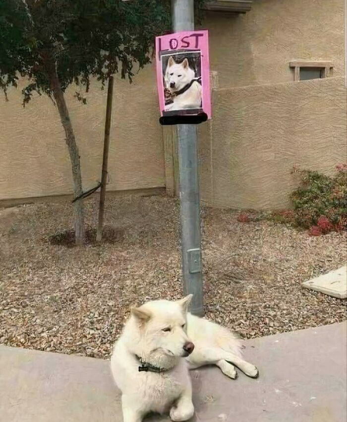 50 Times People Or Businesses Won The Funny Sign Game And Got Celebrated On Facebook