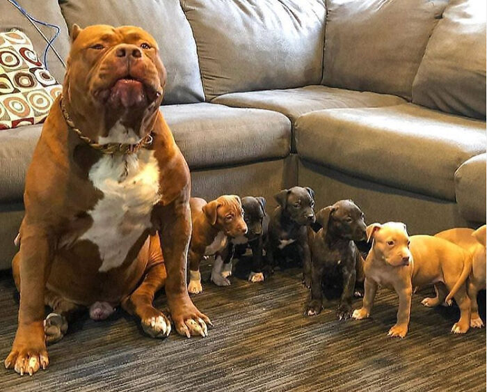 Padre con sus hijos