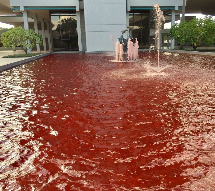 La compañía quería que la fuente se viera rosa por el día contra el cáncer de mama... no salió bien
