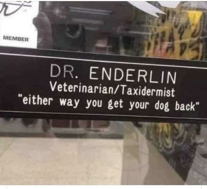 Veterinario / Taxidermista