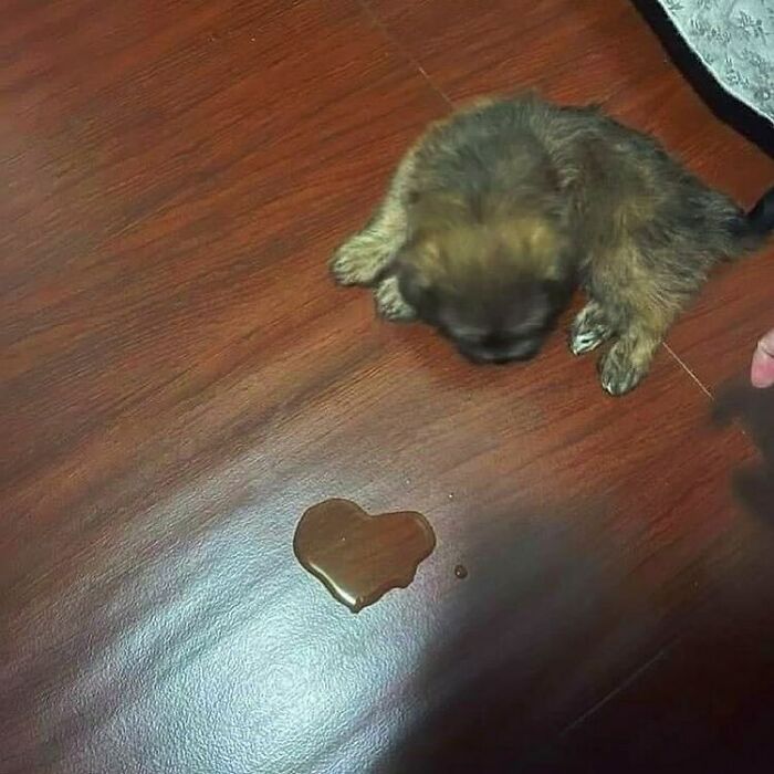 Su forma de decir te quiero