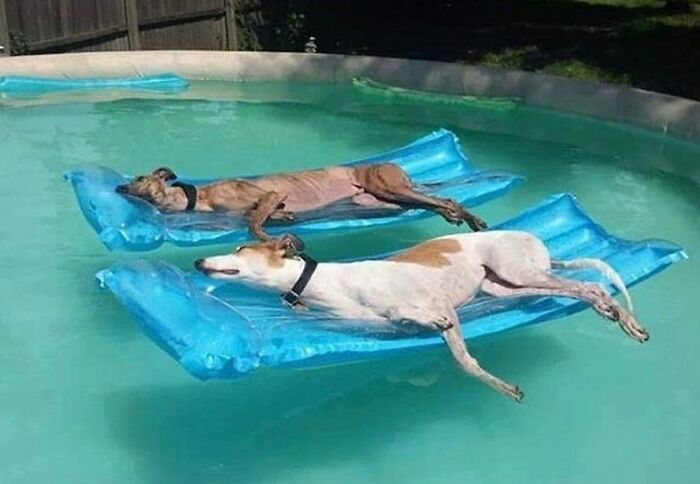 Relax