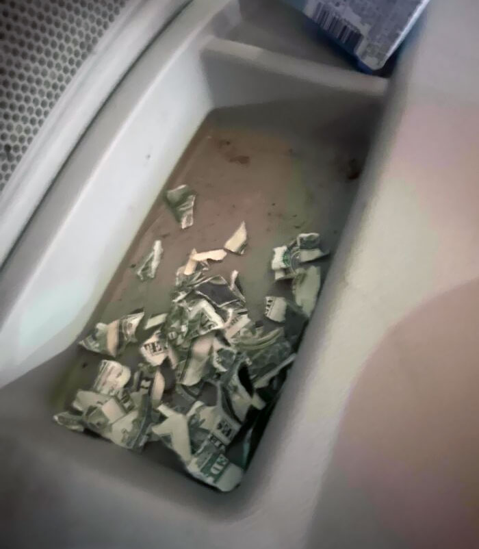 Estaba buscando dinero suelto por el coche y lo encontré, pero...