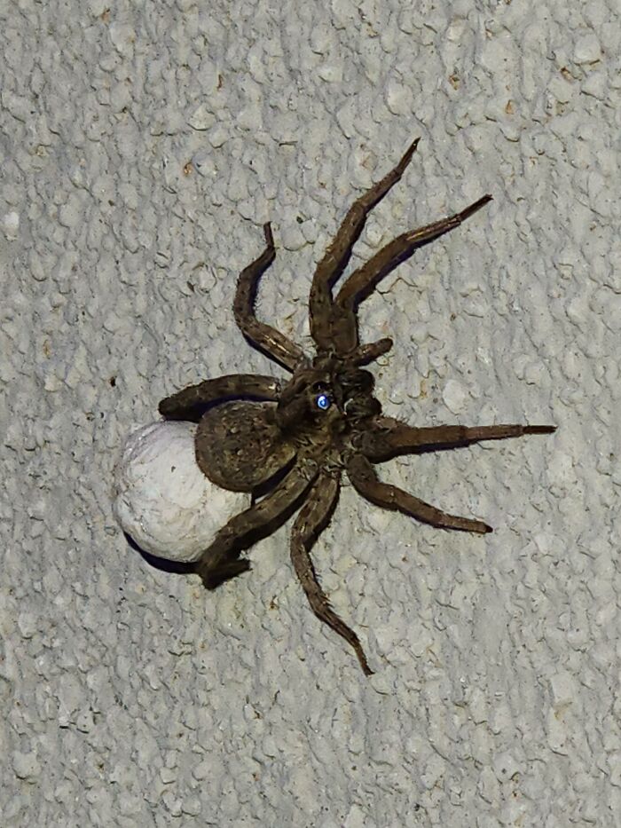 Esto estaba fuera de mi casa