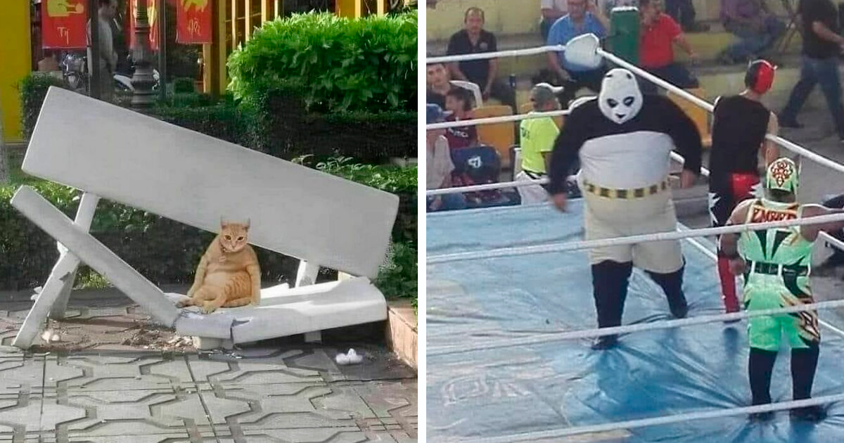 27 Imágenes muy difíciles de ignorar