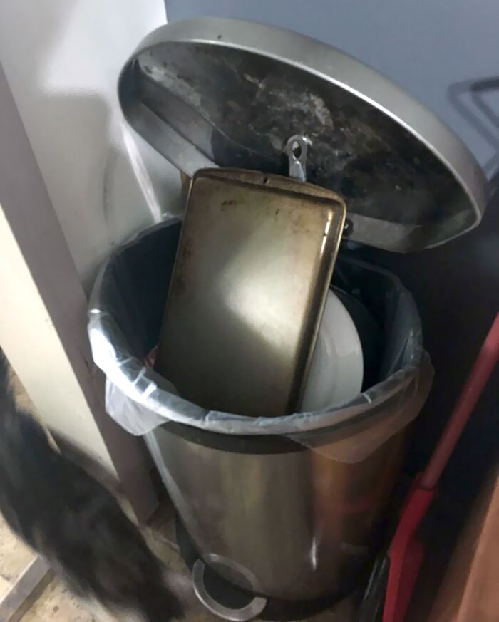 Cuando tu cuñado adulto no quiere fregar sus platos