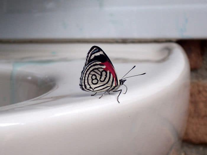 “Pics Or It Never Happened”: 50 Things That Might Be Hard To Believe Without Evidence