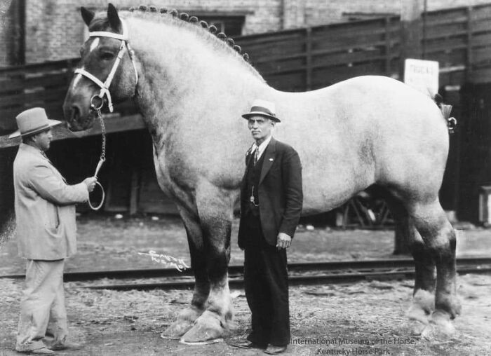 “Pics Or It Never Happened”: 50 Things That Might Be Hard To Believe Without Evidence