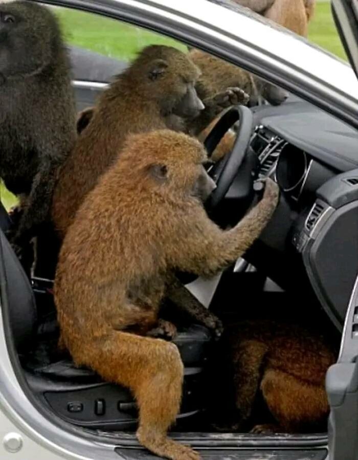 “Pics Or It Never Happened”: 50 Things That Might Be Hard To Believe Without Evidence