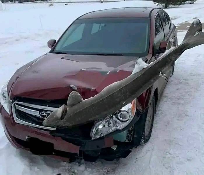 “Pics Or It Never Happened”: 50 Things That Might Be Hard To Believe Without Evidence