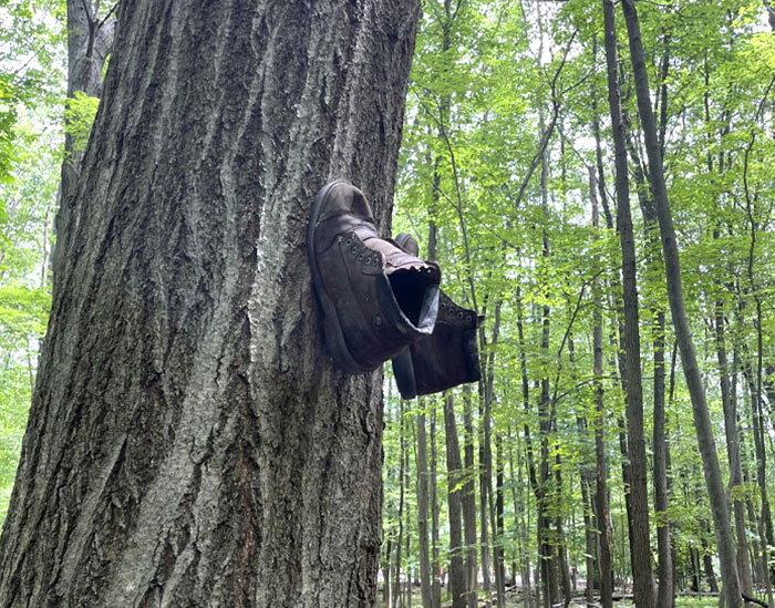 Botas clavadas a un árbol