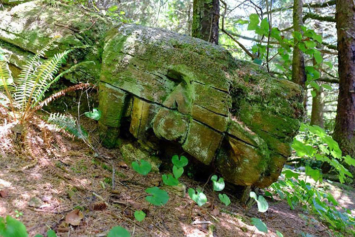 Totem caído en el bosque, Canadá