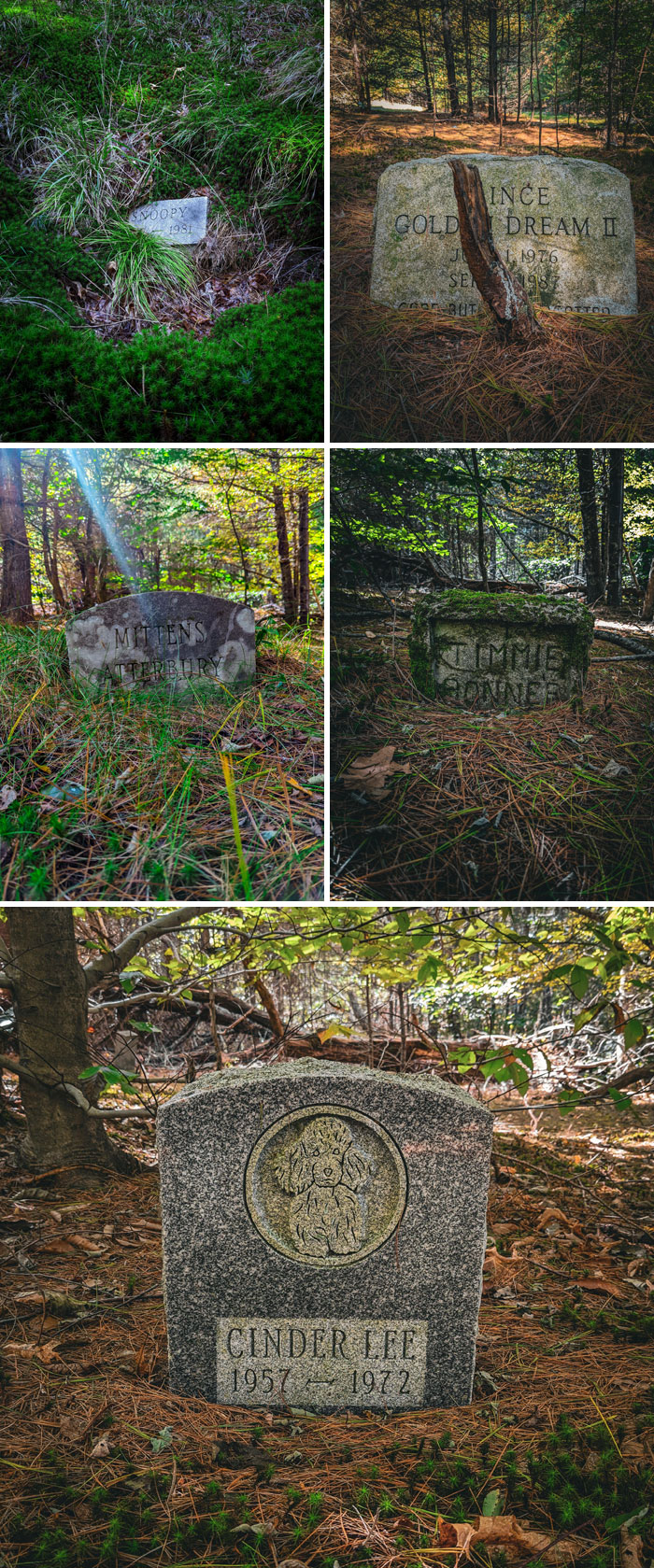 Cementerio de mascotas abandonado