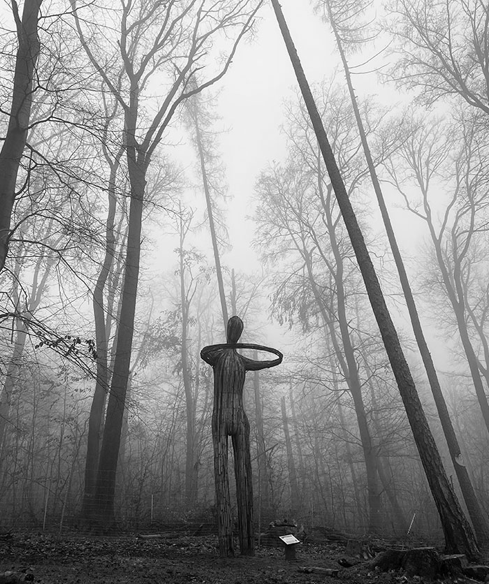 Instalación artística con niebla