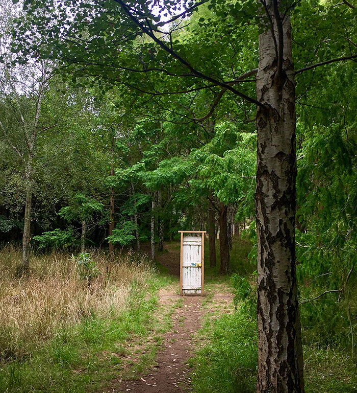 Puerta misteriosa en mitad del bosque