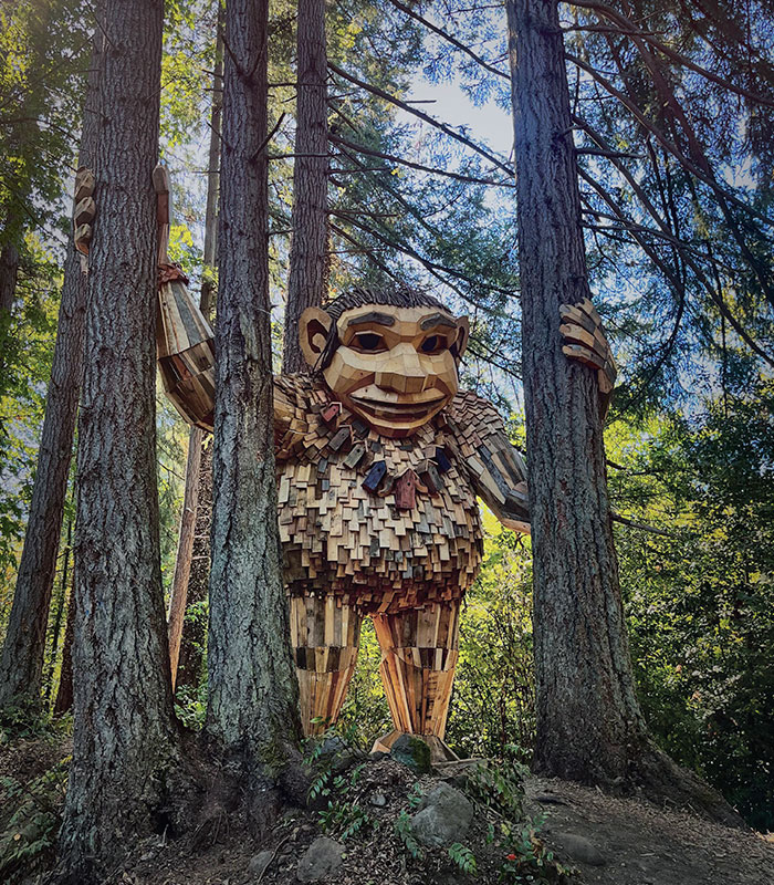 Un troll del bosque