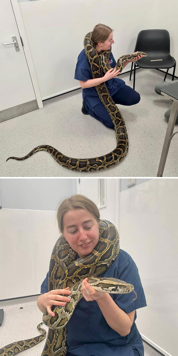 Esta es Bernie, pesa 19 kilos, pero nos encanta