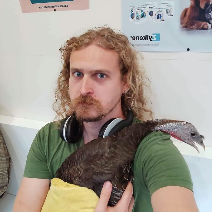 He llevado a mi pavo al vete