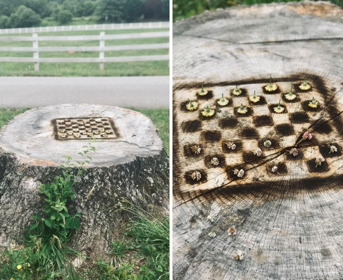 Un compañero de trabajo y yo quemamos un tablero de ajedrez en el tronco de un árbol viejo. Jugamos el primer juego con flores de diente de león y trébol.