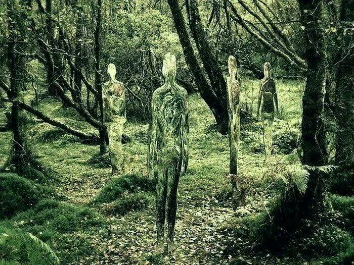 Esculturas de espejos que reflejan el bosque, del artista escocés Rob Mulholland