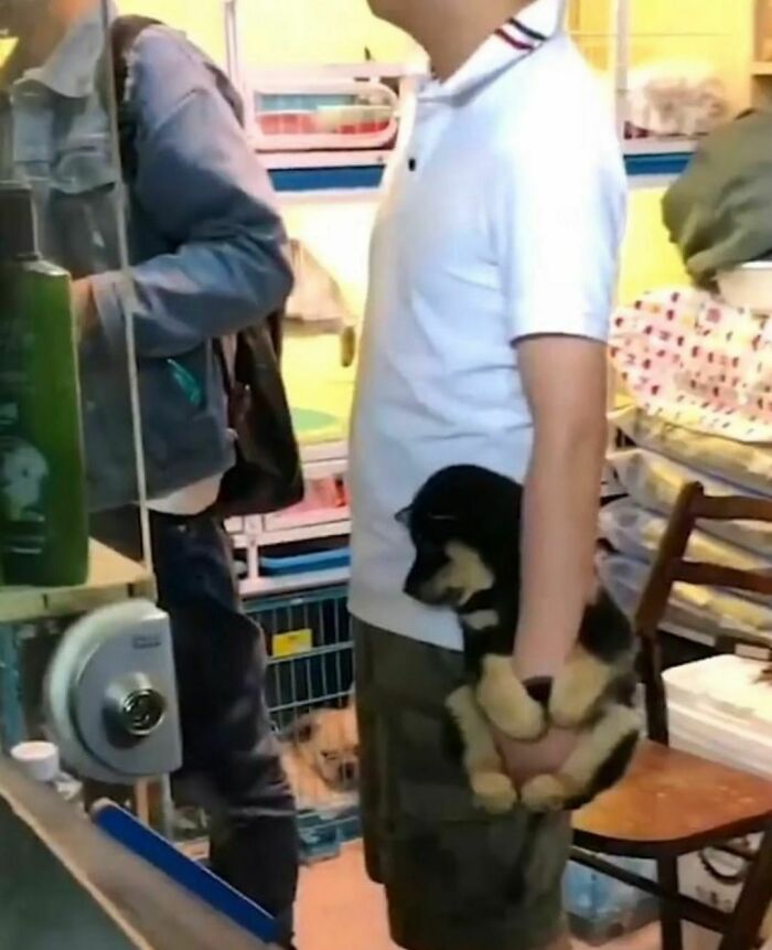 Hombre sosteniendo un cachorro negro con patas cruzadas en tienda, imagen divertida y un poco incómoda.