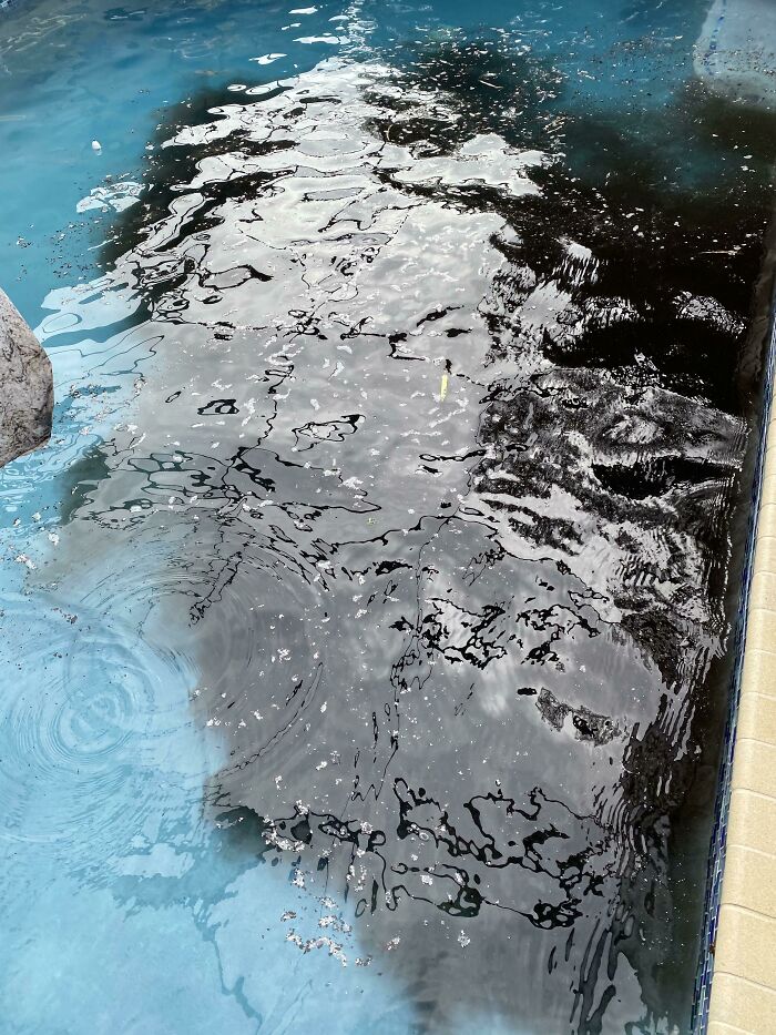 Trabajo limpiando piscinas y hoy he volcado una maceta enorme y ha caido al agua
