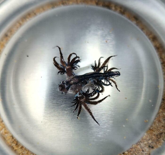 Encontrado en Kauai