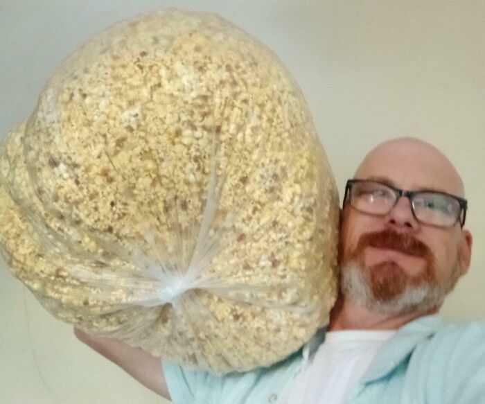 Pregunté en un cine qué hacían con todas las palomitas que les sobraban al cerrar, y salí de allí con esto