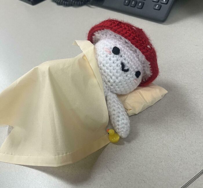 Mi compañera de trabajo hizo un muñeco seta tejido a crochet y alguien lo arropó