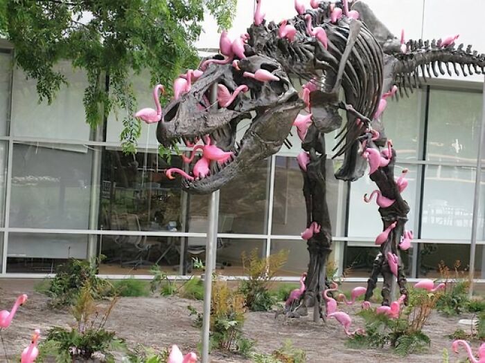 Naturaleza brutal: Flamencos de goma atacando a un t-rex