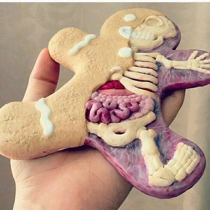 Hombre de pan de jengibre anatómicamente correcto
