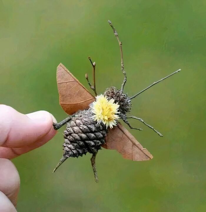Creatividad