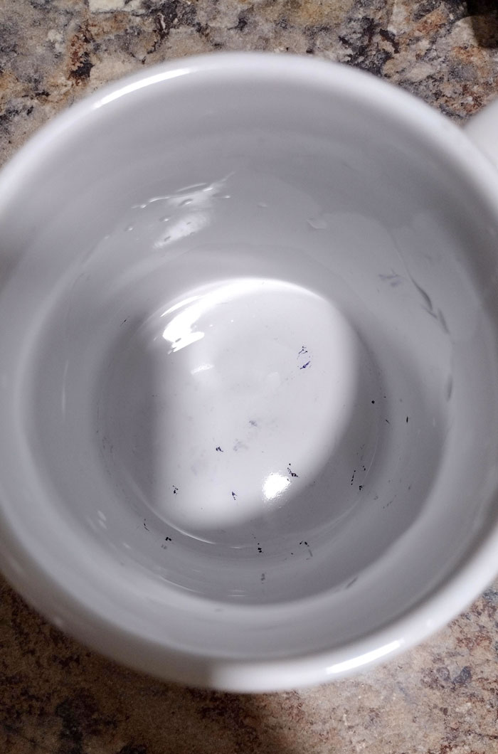 Mis compañeros de trabajo usaron mi taza como portalápices durante mi ausencia