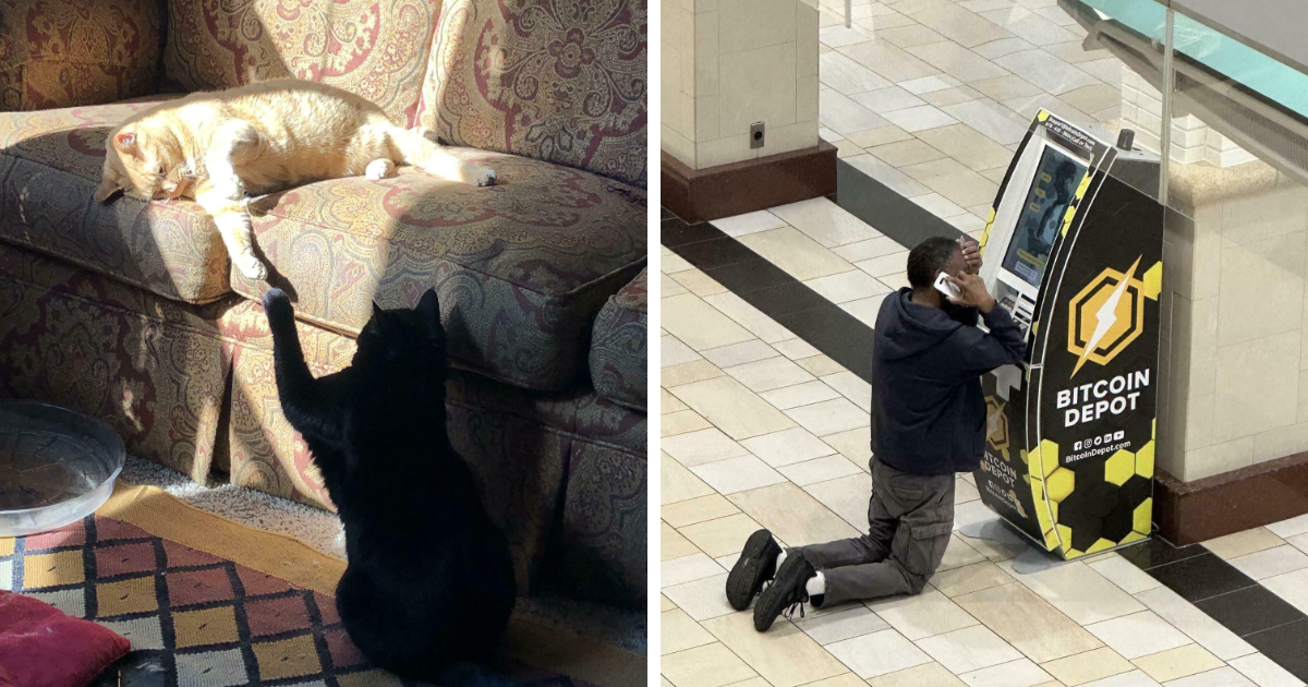 40 Personas que hicieron una foto y se dieron cuenta de que eran «accidentalmente renacentistas» (nuevas imágenes)