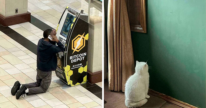 40 Personas que hicieron una foto y se dieron cuenta de que eran «accidentalmente renacentistas» (nuevas imágenes)